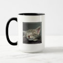 Search for domestic cats mugs Photography