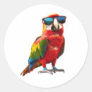 Search for parrot art stickers Exotic wildlife