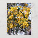 Search for yellow blossoms postcards Garden