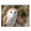 Search for birds of prey calendars Hawk