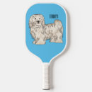 Search for havanese dog Pet