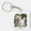 Search for cat best friend key rings Dog