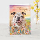 Search for english bulldog cards Pets