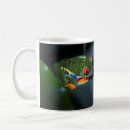 Search for red eye tree frog mugs Outdoors