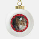 Search for dog frame christmas tree decorations Cat