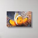 Search for aquarium backgrounds posters Aquatic