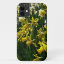 Search for yellow daffodil iphone cases Narcissus