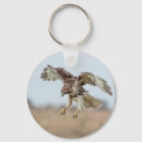 Search for hover key rings Bird