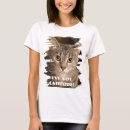Search for attitude photography Cat