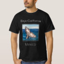 Search for baja Mexico