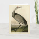 Search for audubon cards Bird