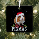Search for guinea pig christmas tree decorations Santa