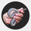 Search for reptile painting stickers Animals