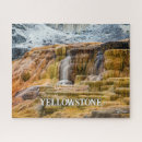 Search for yellowstone puzzles Wildlife