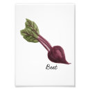 Search for beet art Red