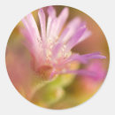 Search for flower images stickers Blossom