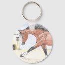 Search for arabian horse accessories Equine