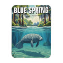 Search for blue springs magnets Travel