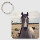 Search for arabian horse key rings Pony