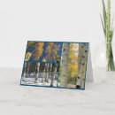 Search for aws cards Photography