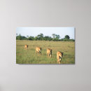 Search for okavango posters Outdoors