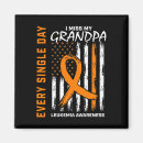 Search for sympathy magnets Loss
