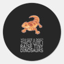 Search for bearded dragon stickers Lizard