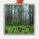Search for forest green christmas tree decorations Landscape