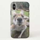 Search for animal cases Kawaii