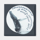 Search for mammal magnets Humpback whale