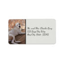 Search for brown white dog return address labels Animals