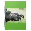 Search for fowl notebooks Farm