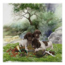 Search for german shorthaired pointer posters Hunting