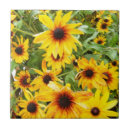 Search for floras tiles Plants