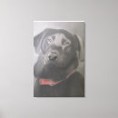 Search for labrador retriever art Illustration
