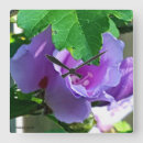 Search for sharon art Purple