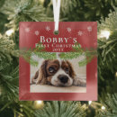 Search for puppys 1st christmas tree decorations Pet
