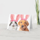 Search for humor easter cards Dog
