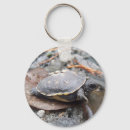 Search for baby turtle key rings Nature