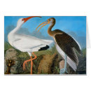 Search for audubon postcards Wild bird