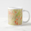 Search for conservation mugs Abstract