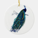 Search for beautiful peacock christmas decor Feathers