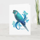 Search for conures cards Bird