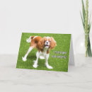 Search for charles spaniel cards Puppy