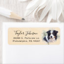 Search for collie return address labels Dog
