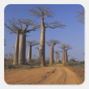 Search for africa stickers Madagascar