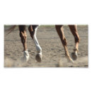 Search for hooves art Horse