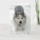 Search for adorable dog cards Winter