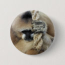 Search for gibbon accessories Primate