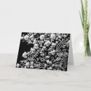 Search for asia invitations Flowers
